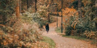 Lisah Silfwer on an autumn walk with her camera - How to come up with great PR ideas
